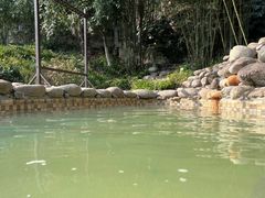 -三江森林温泉度假区