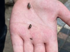 -酷鱼垂钓CLUB(朝阳区博大路店 )