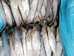 刀鱼-芦潮港集贸市场