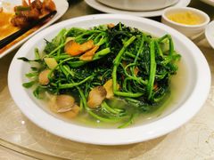 上汤苋菜-白云宾馆·白云宴餐厅