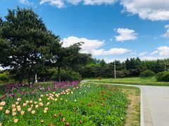 -长春公园(普阳街道)