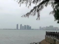 -万绿园