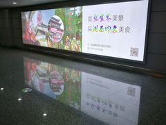 -张家界荷花国际机场