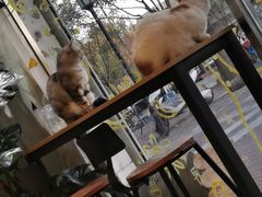 -平行世界·猫咖(首经贸店)