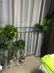 -荟草堂专业痘肌皮肤管理
