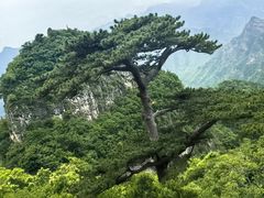 -圣莲山风景区