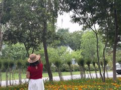 -苏州上方山国家森林公园