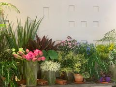 -PlantsEatery·植物食堂(REX春熙店)