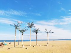 -金梦海湾浴场