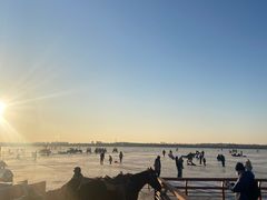 -丁香湖公园