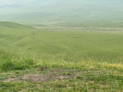 -新疆那拉提国家旅游度假区