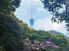 -梧桐山风景名胜区