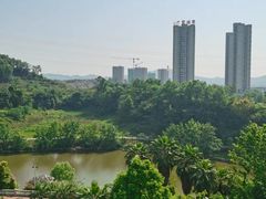 -重庆长寿碧桂园凤悦凤凰酒店