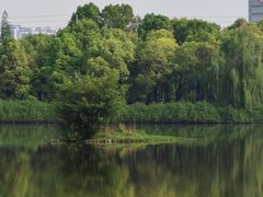 -成都南湖公园