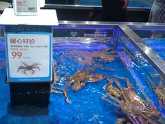 -盒马X会员店(王府井奥莱UP TOWN店)