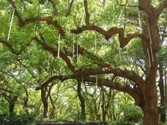 -普陀山风景名胜区-法雨禅寺