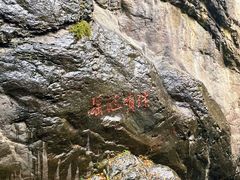 -云岫谷游猎自然风景区