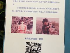 -盐城丹顶鹤湿地生态旅游区