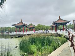 -长春市南湖公园