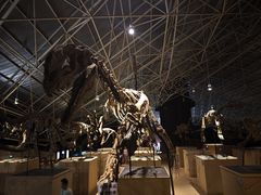 -世界恐龙谷景区