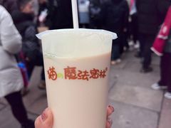 -猫的魔法密林(衣裳街店)
