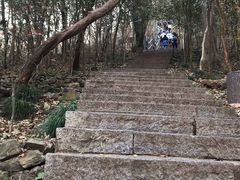 -紫金山山顶公园