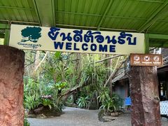 -绿光森林餐厅