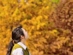 -中山市树木园