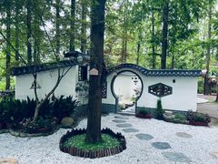 -东平国家森林公园