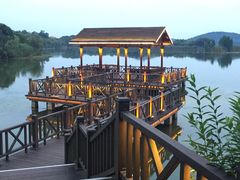 -上海市保健医疗中心