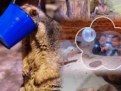 -正佳雨林生态植物园