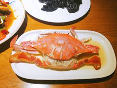 -船歌·鱼水饺青岛菜(金狮广场店)