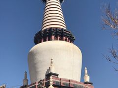 -张掖大佛寺景区