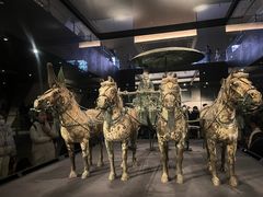 -秦始皇帝陵博物院-丽山园