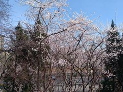 -玲珑塔公园