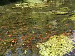 -水磨沟公园