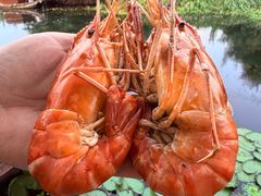 -欢乐蟹庄·精品农家乐(阳澄湖莲花岛店)