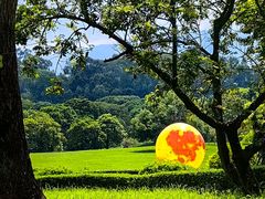 -福建鲤鱼洲酒店