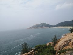 -广东惠东海龟国家级自然保护区