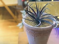 -Rabbit Cafe私房西餐甜点咖啡(栖霞路店)