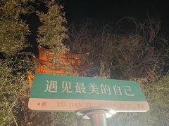 -杨家埠民间艺术大观园