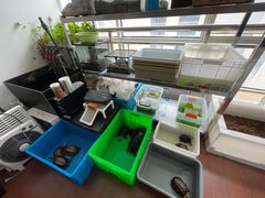 -灵龟之家百象馆(百象馆联合旗舰店)
