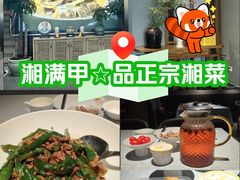 -湘满甲·黄焖甲鱼创始者·湘菜·鲁菜(双井十里河潘家园店)