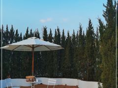 -Blue Concept Cafe&Farm·關於藍