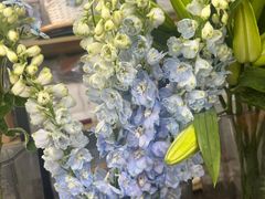-ChaKo Flora ·茶子花艺 (市北店)