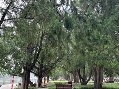 -北京市劳动人民文化宫(太庙)