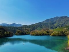 -龙坞茶村