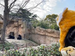 -上海野生动物园