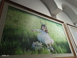 -蜜阁孕味亲子摄影(赛高店)