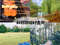 -上海滨江森林公园